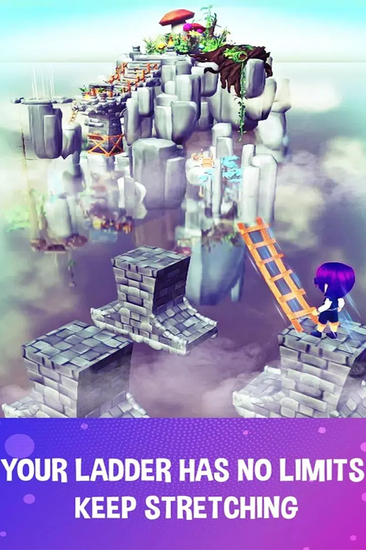 2022年伸展梯比赛