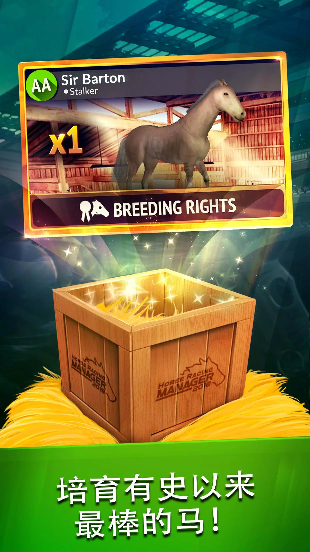 2019年度赛马经理