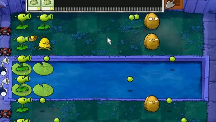 植物大战僵尸：E版支线