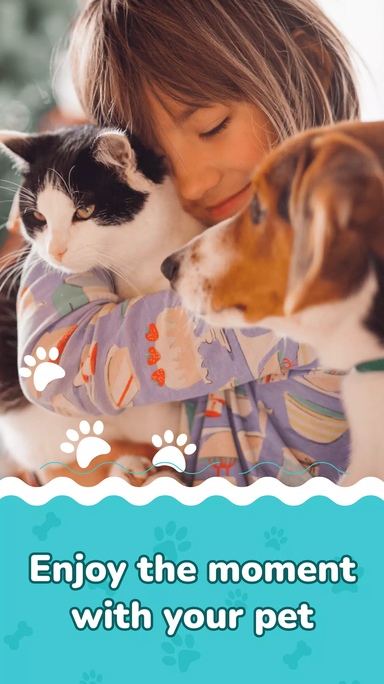 狗的声音和猫的声音Trans