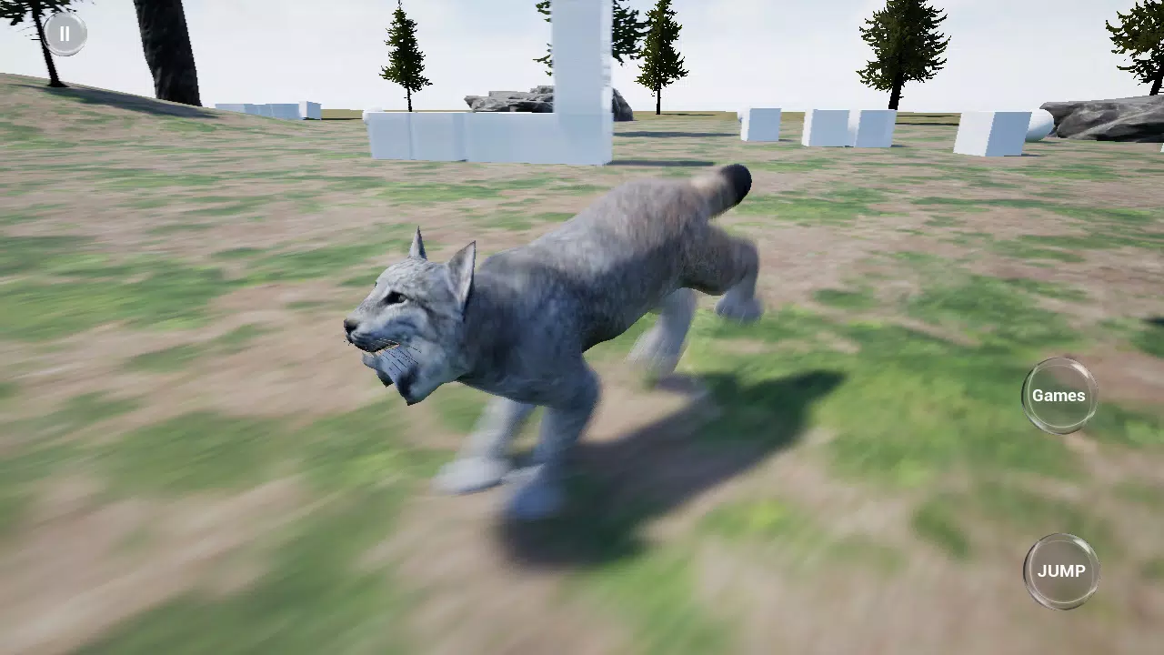 山猫赛跑模拟器