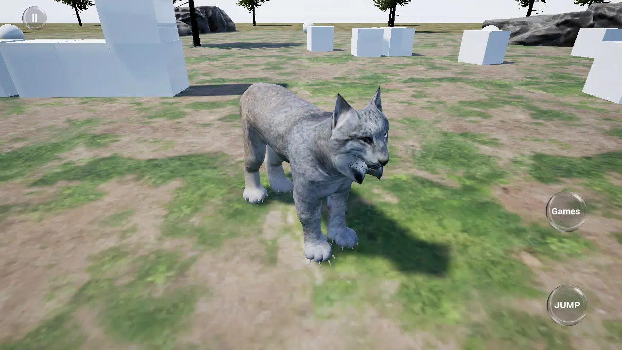 山猫赛跑模拟器