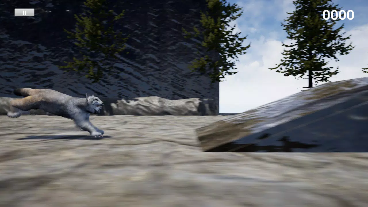 山猫赛跑模拟器