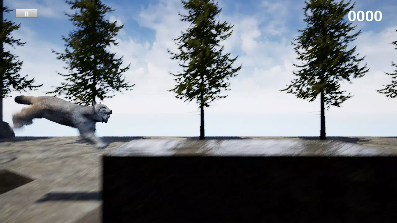 山猫赛跑模拟器