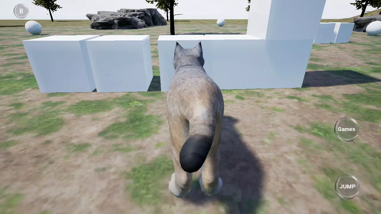 山猫赛跑模拟器