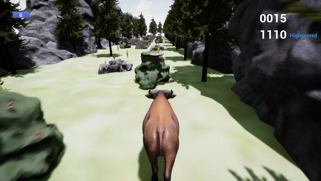 Forrest水牛模拟器