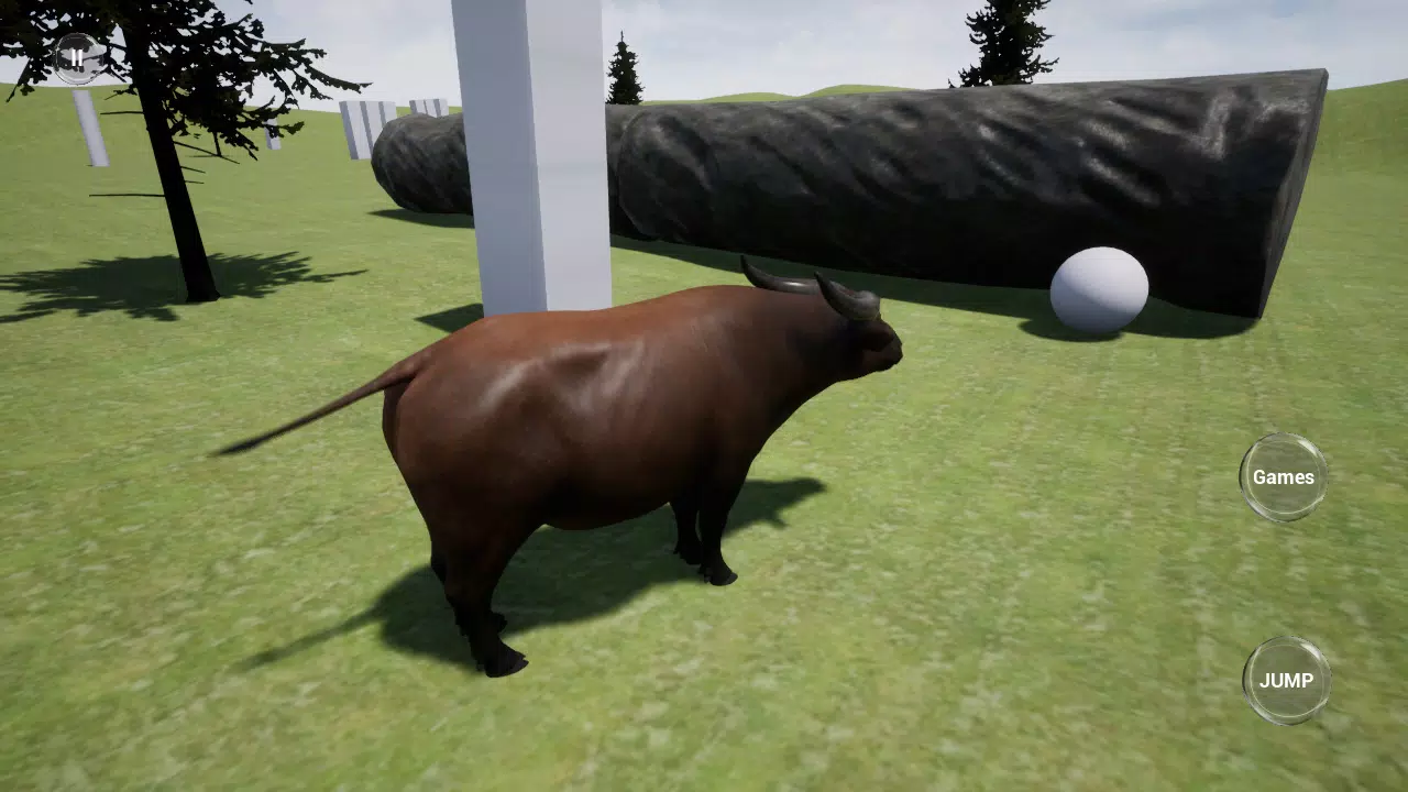 Forrest水牛模拟器