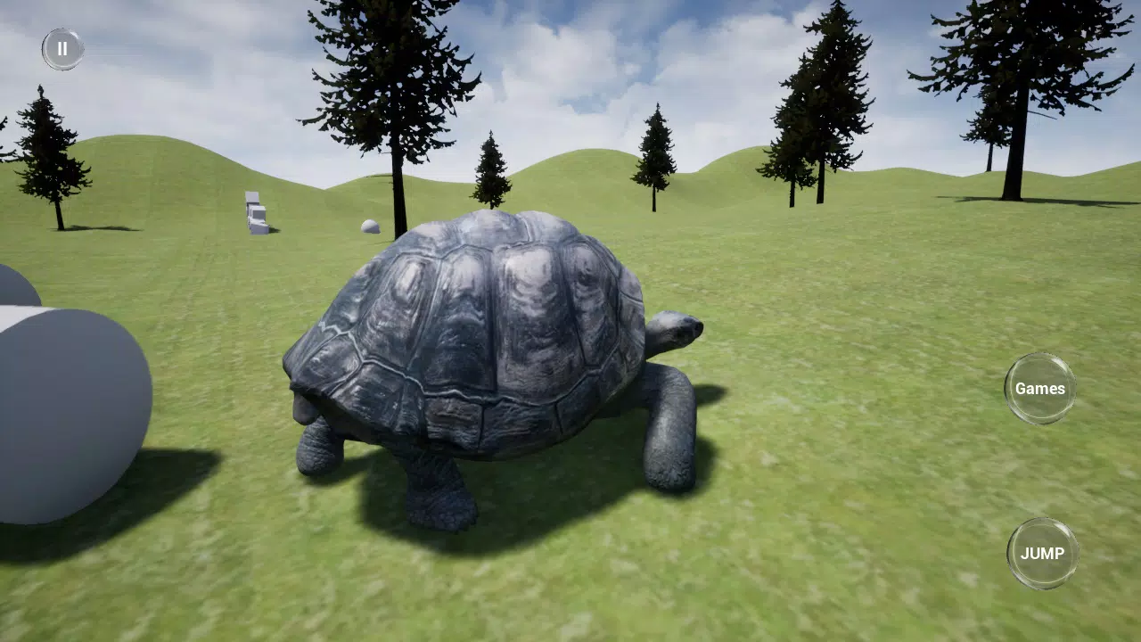 加拉帕戈斯海龟模拟器