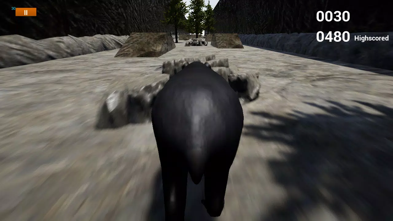 快乐Tapir模拟器