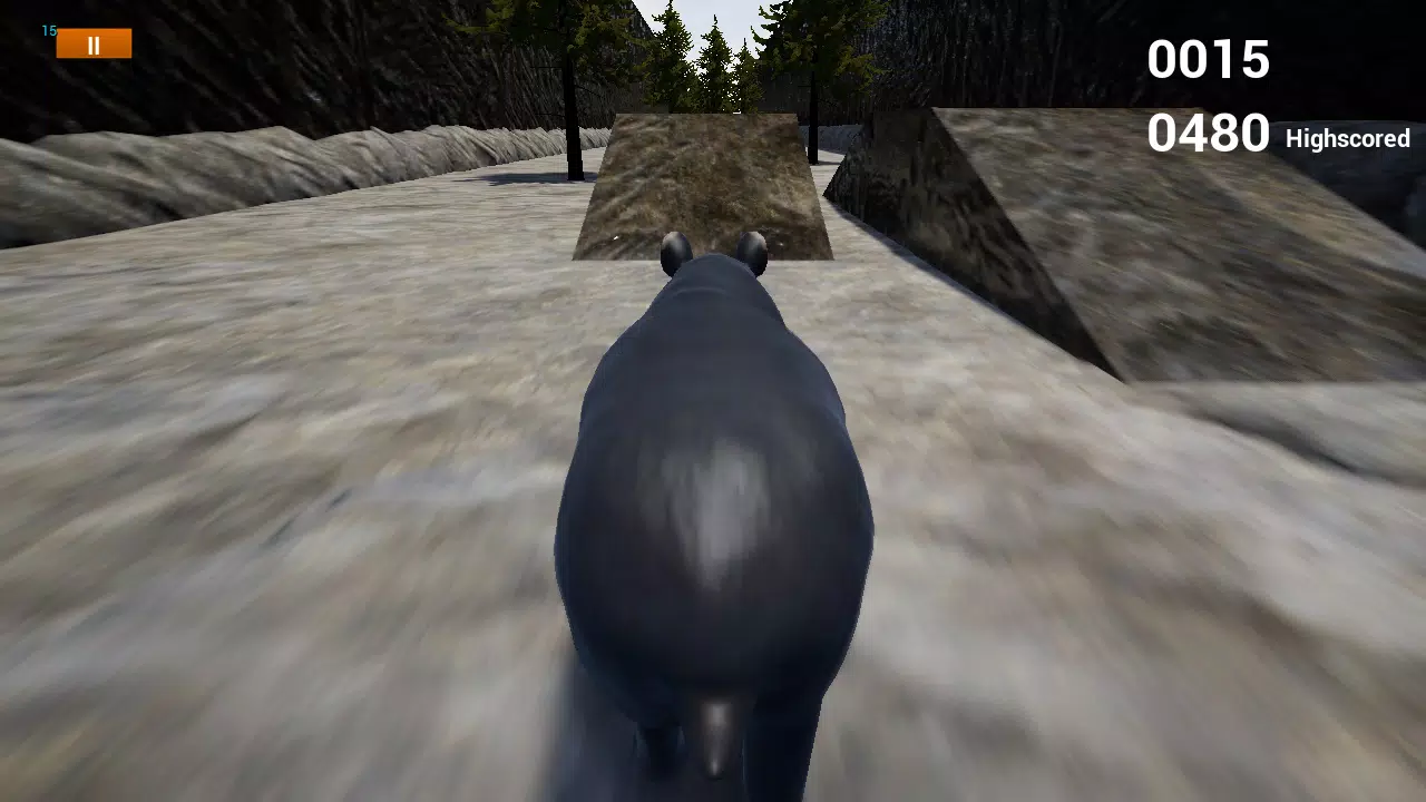 快乐Tapir模拟器