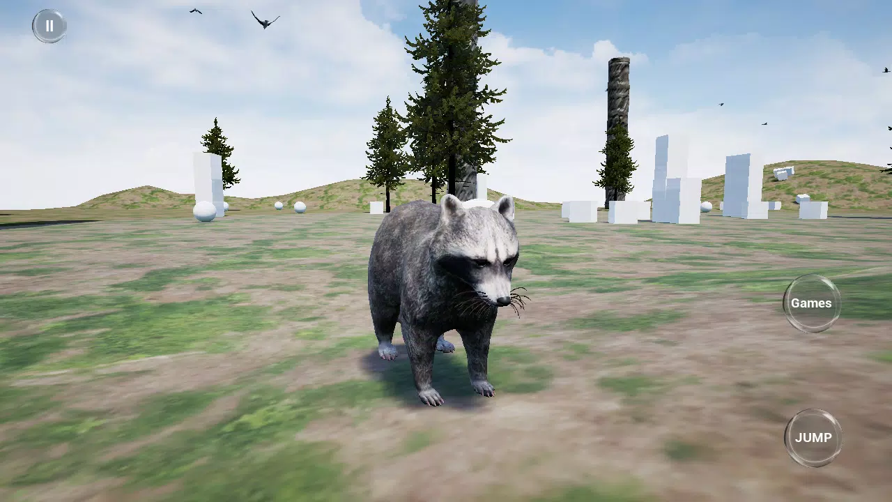 Racoon Runner模拟器