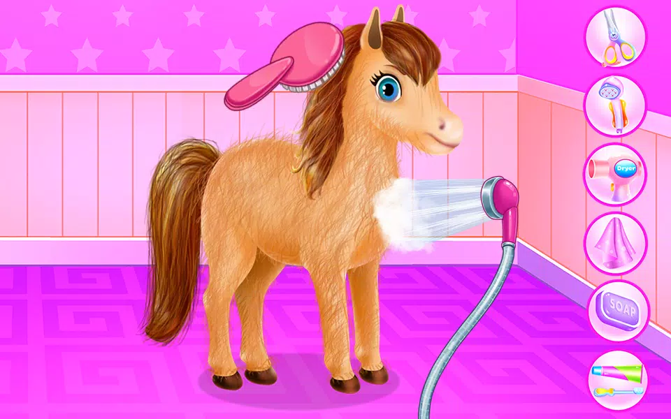 动物园动物酒店