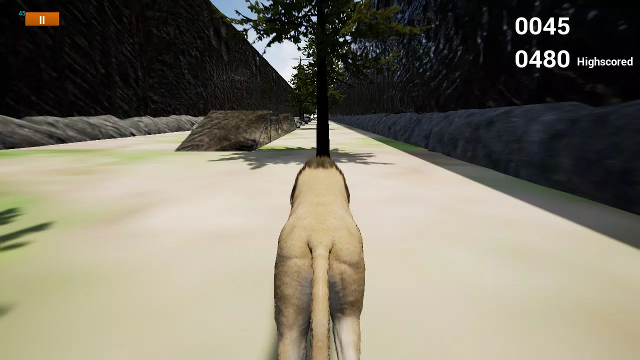 快乐狮子模拟器