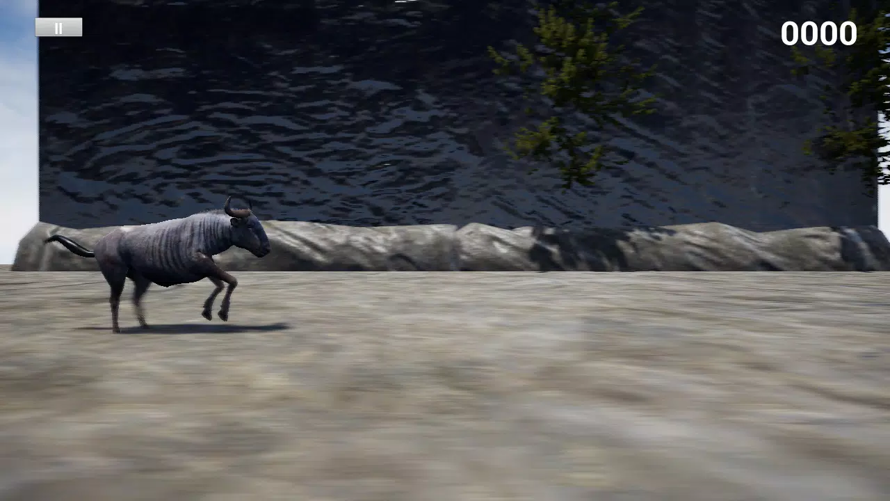 快乐角马模拟器