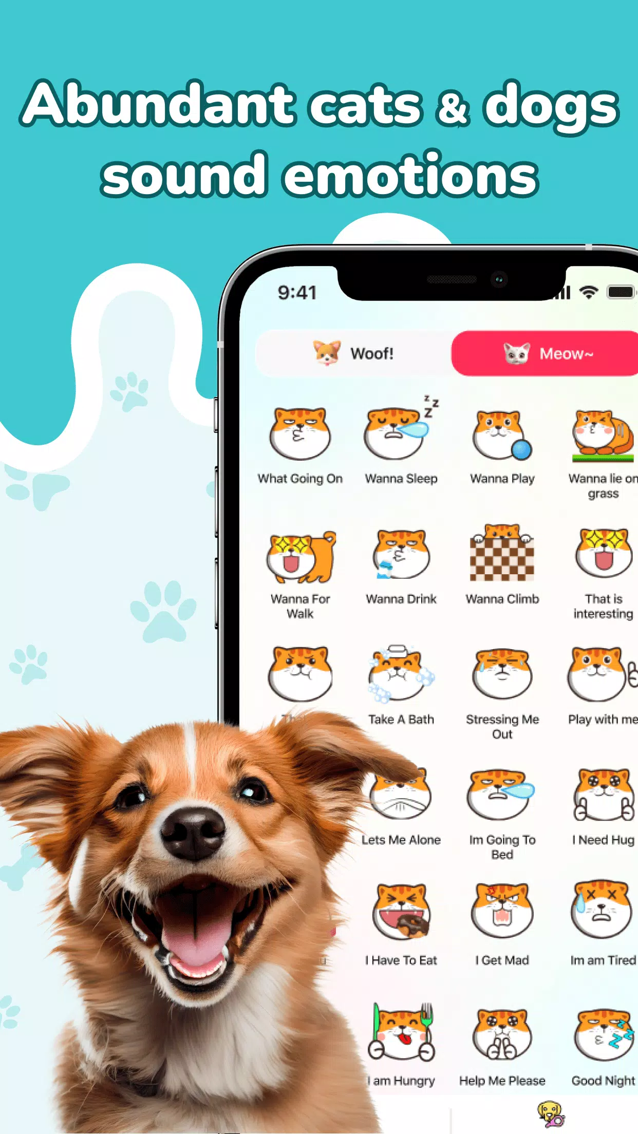 狗的声音和猫的声音Trans