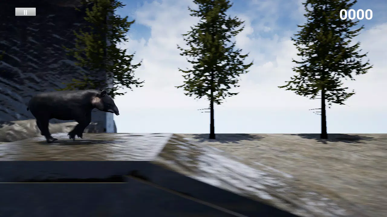 快乐Tapir模拟器