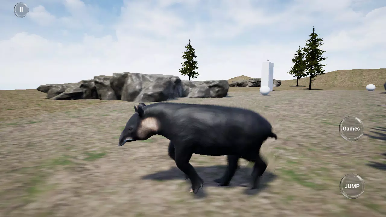 快乐Tapir模拟器