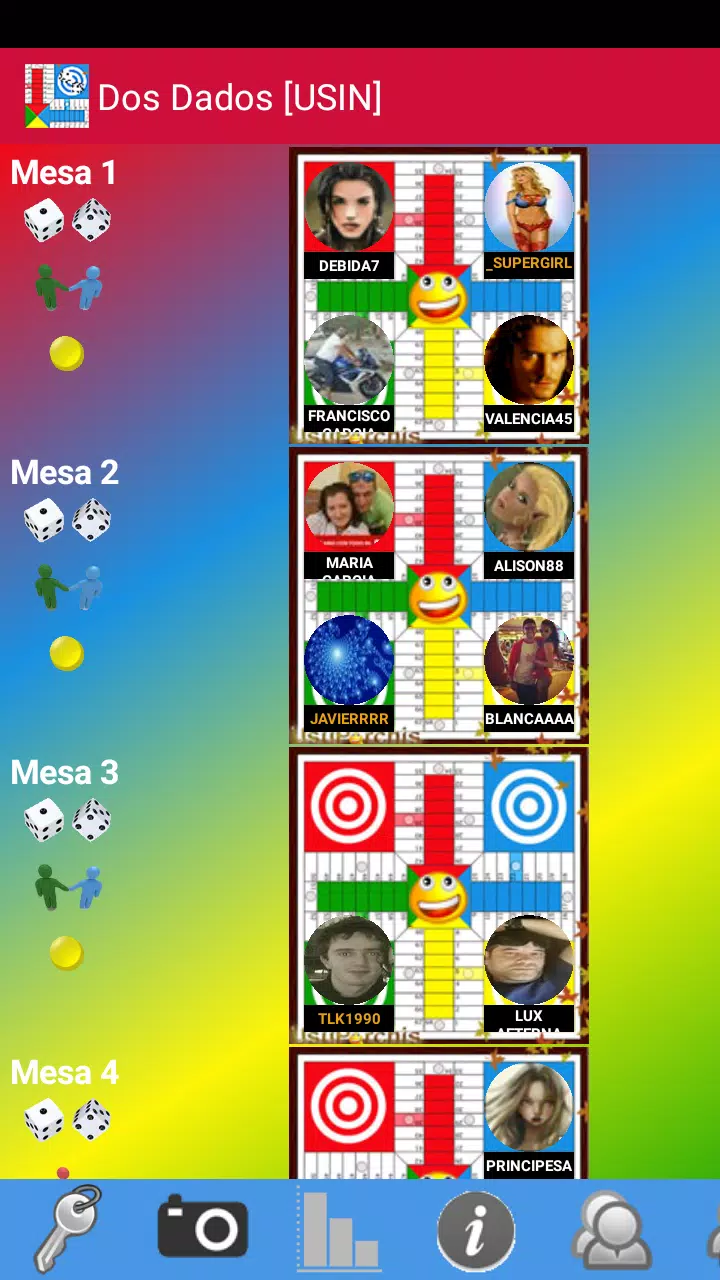 Parchis Usu Parchis