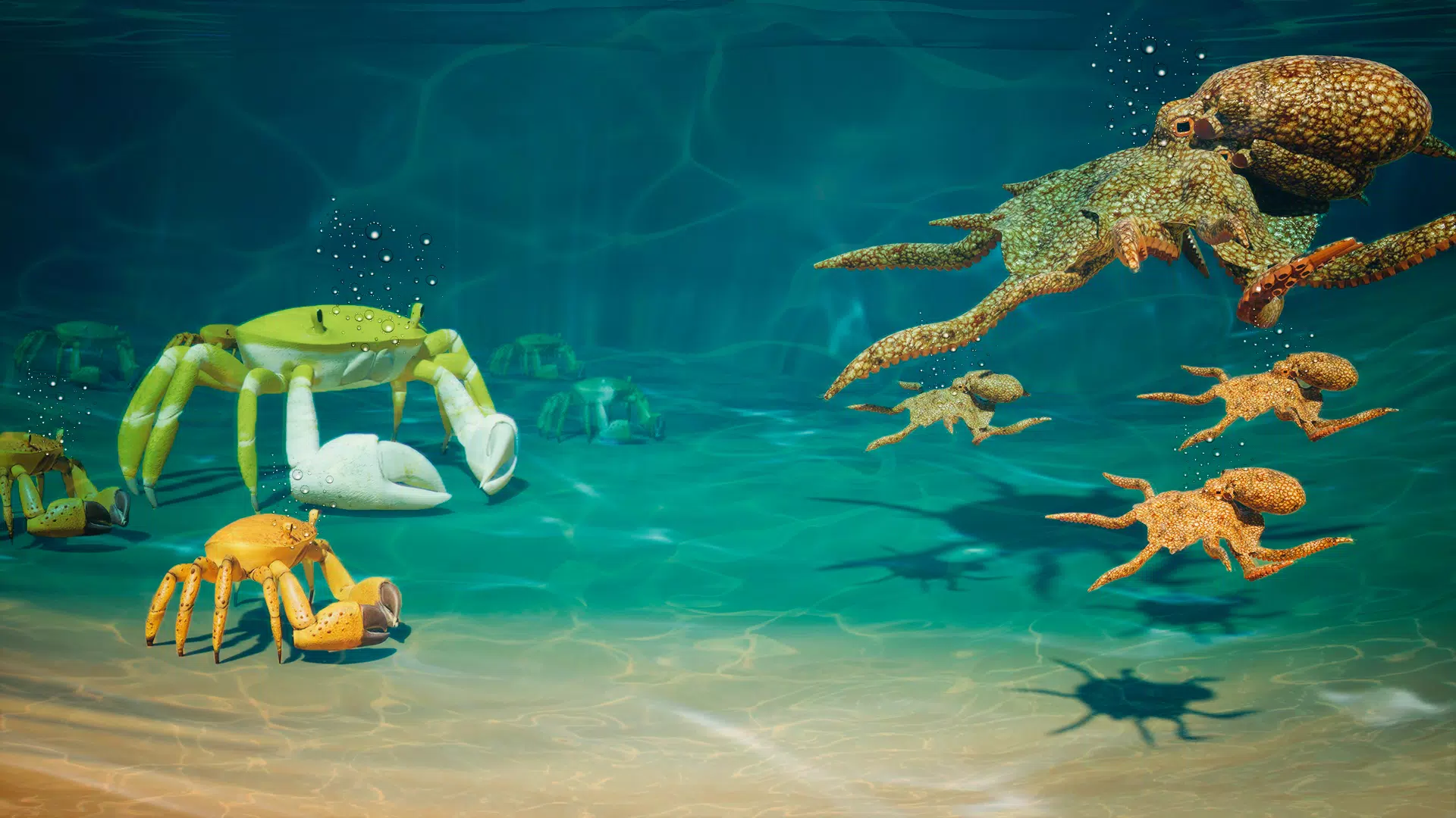 螃蟹岛战争演变