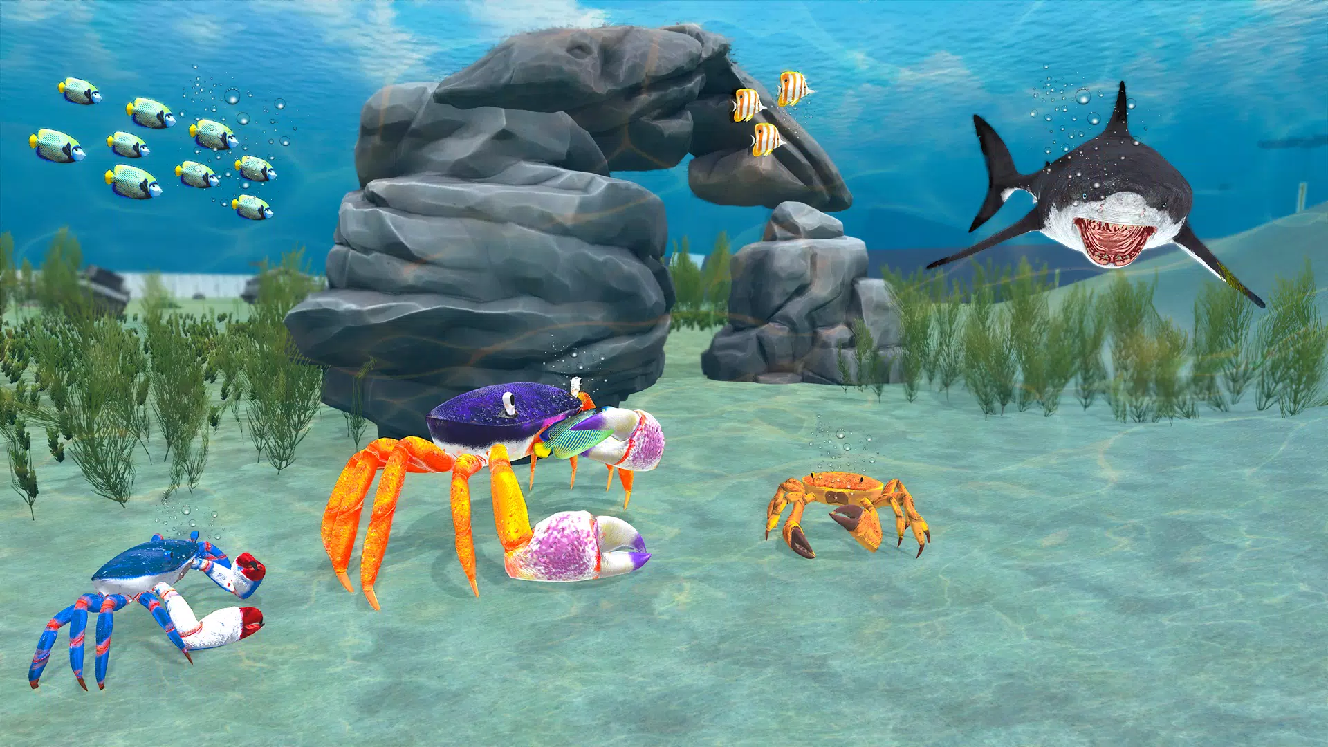 螃蟹岛战争演变