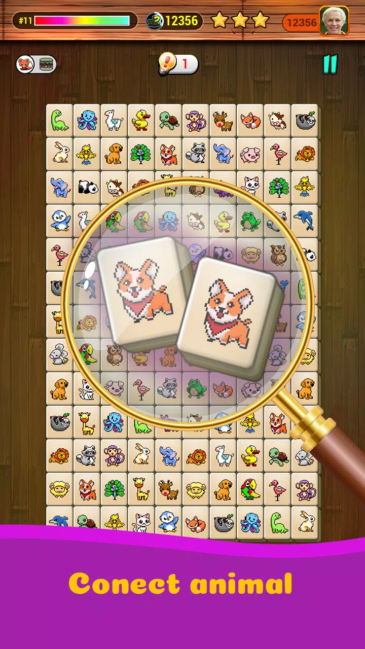 Onet X Connect匹配动物