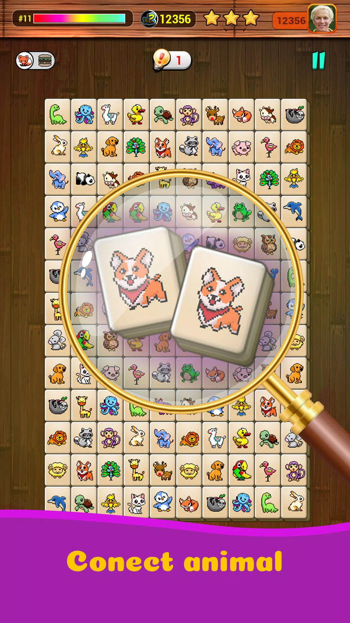 Onet X Connect匹配动物