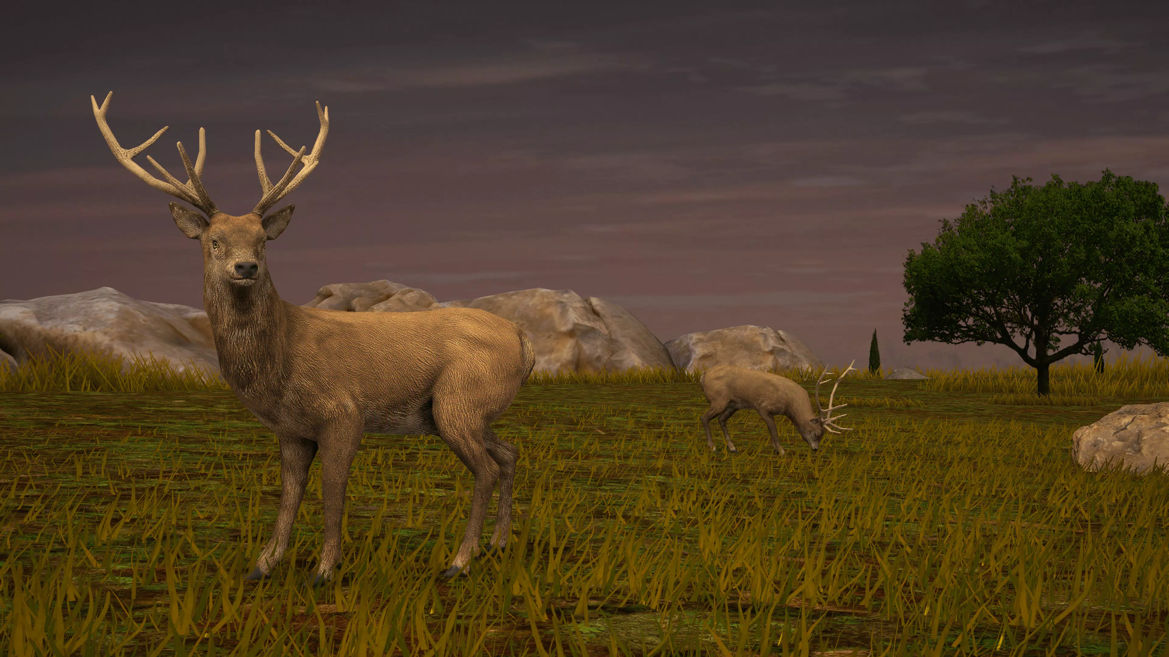 狙击手动物狩猎 狙击手动物狩猎