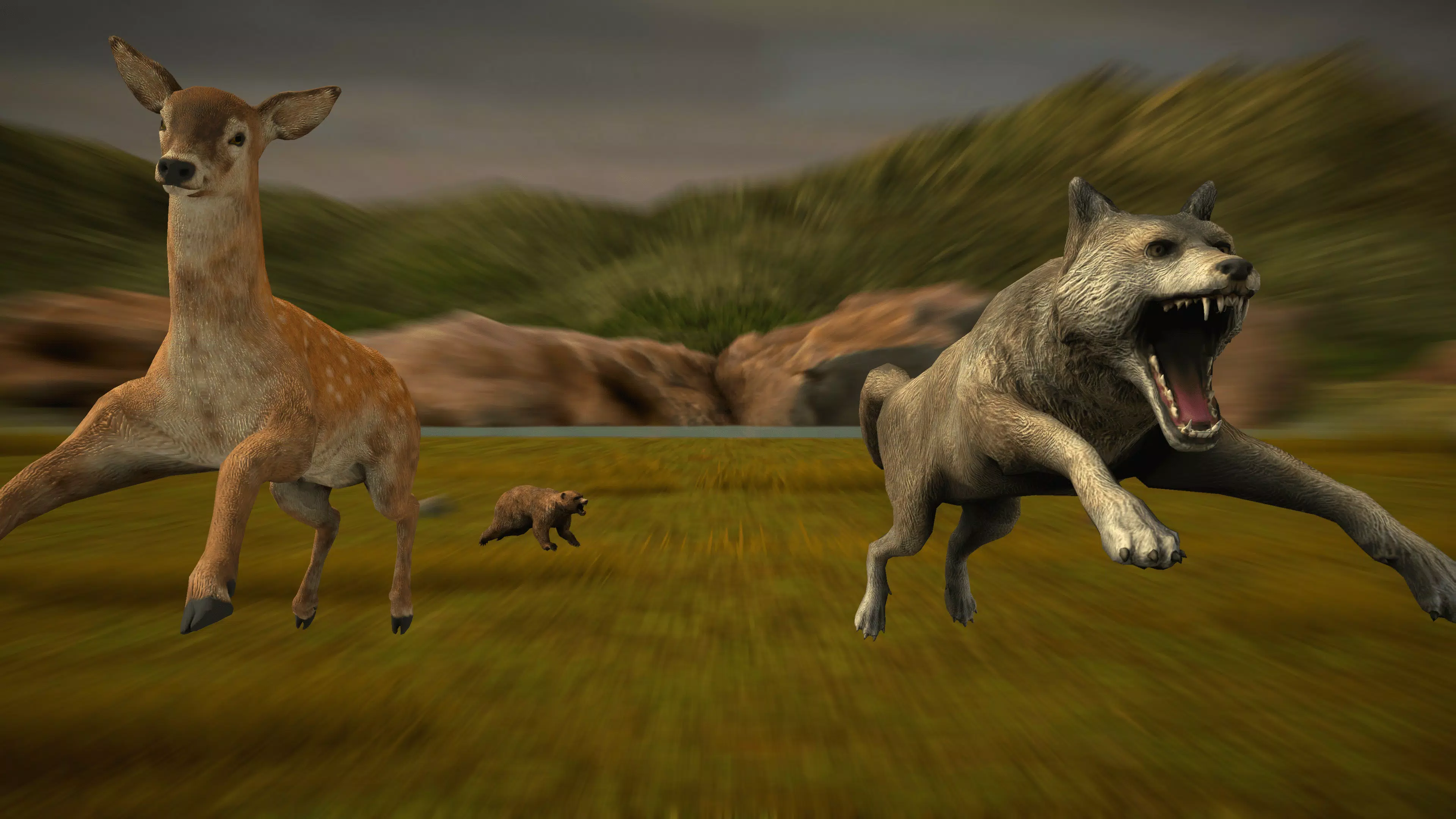 狙击手动物狩猎 狙击手动物狩猎