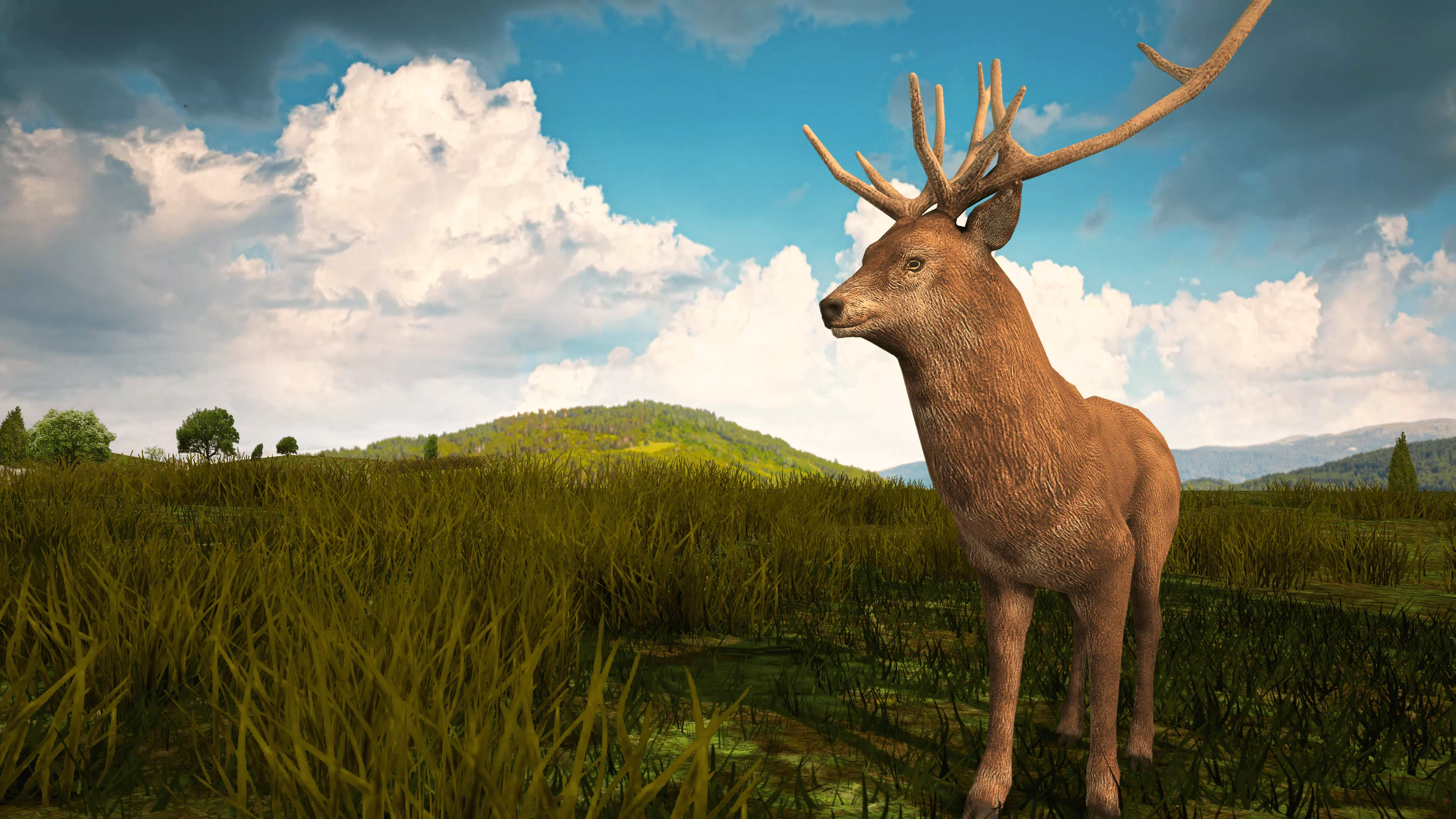 狙击手动物狩猎 狙击手动物狩猎