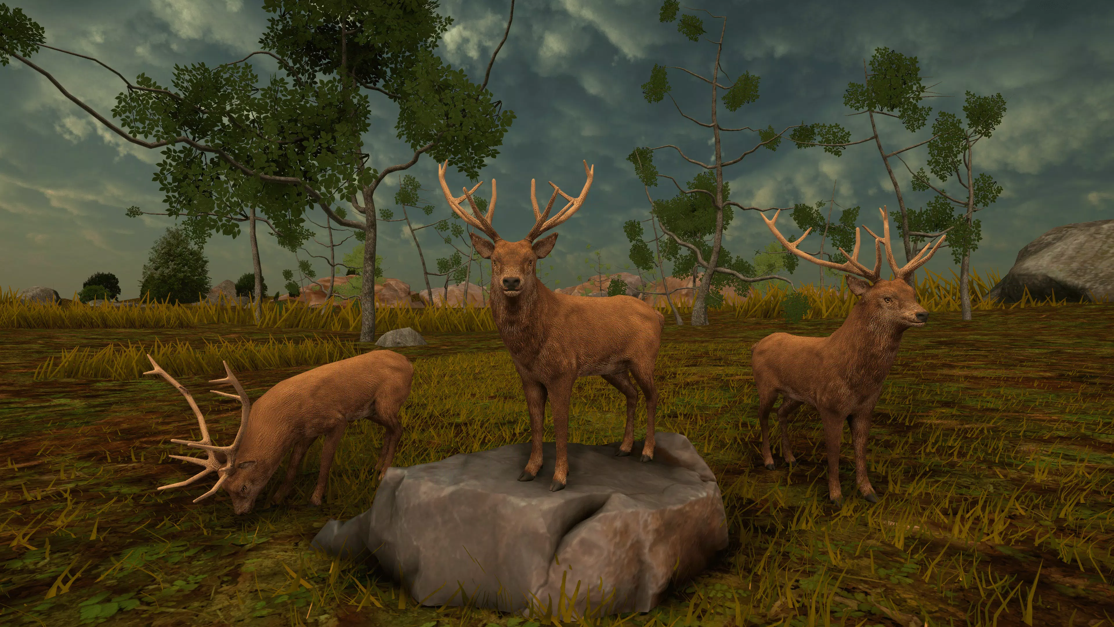 狙击手动物狩猎 狙击手动物狩猎