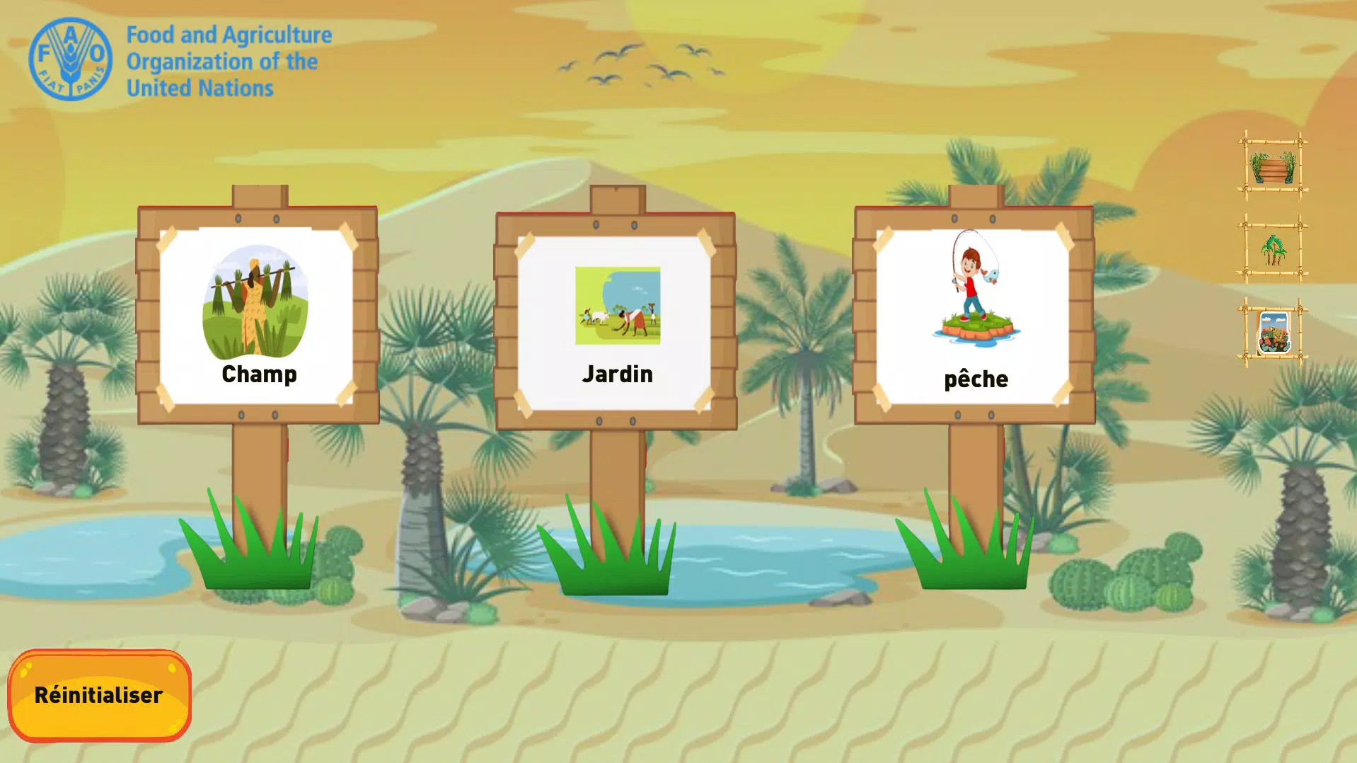 毛里塔尼亚珊瑚礁