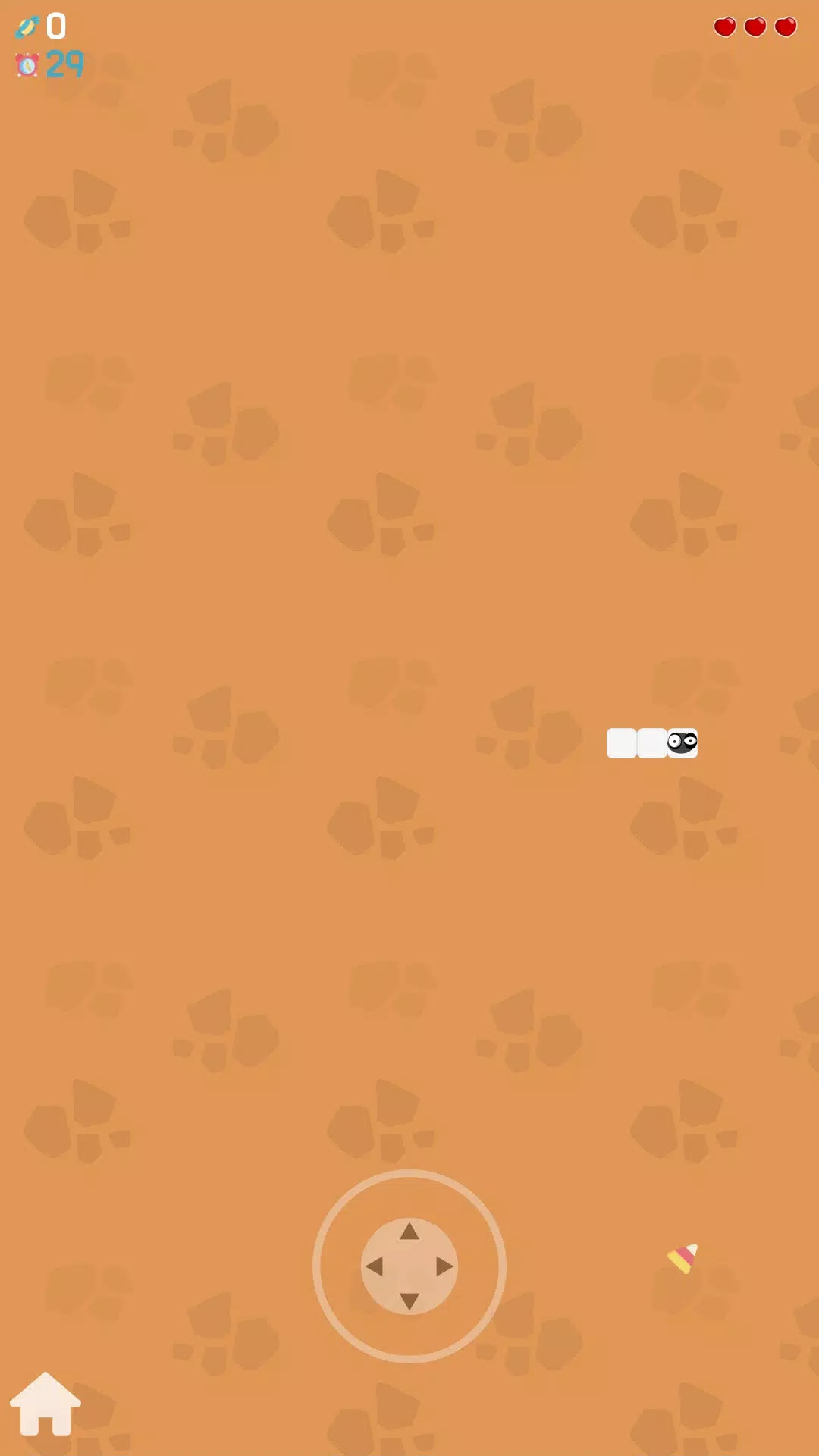 简单的蛇 简单的蛇