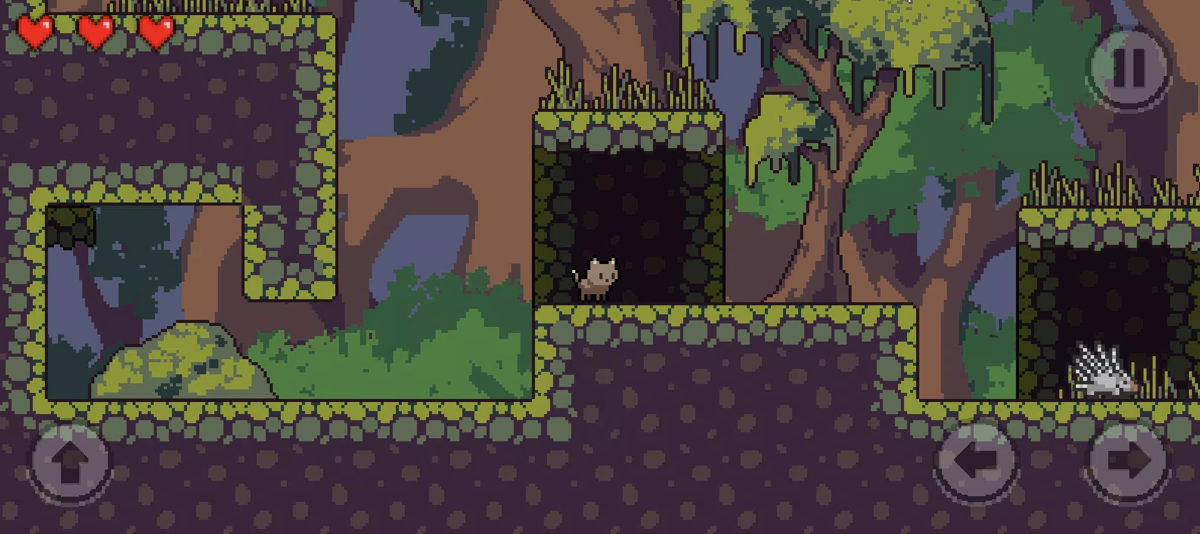 普通猫是否拯救世界? 普通猫是否拯救世界?