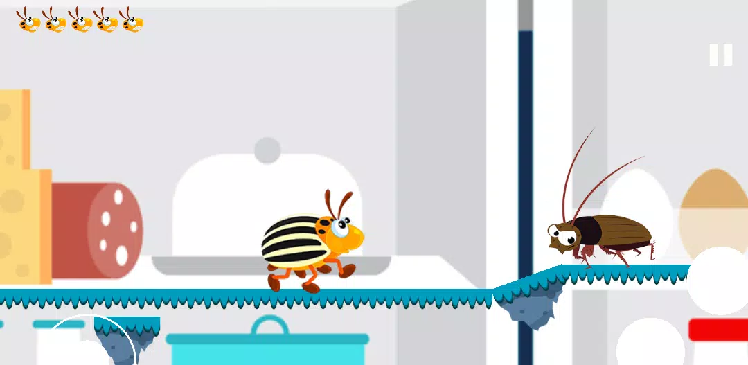 科罗拉多甲虫。昆虫冒险 科罗拉多甲虫。昆虫冒险