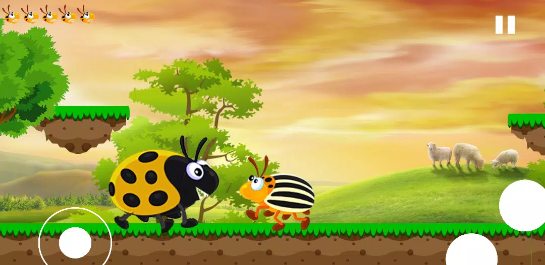 科罗拉多甲虫。昆虫冒险 科罗拉多甲虫。昆虫冒险