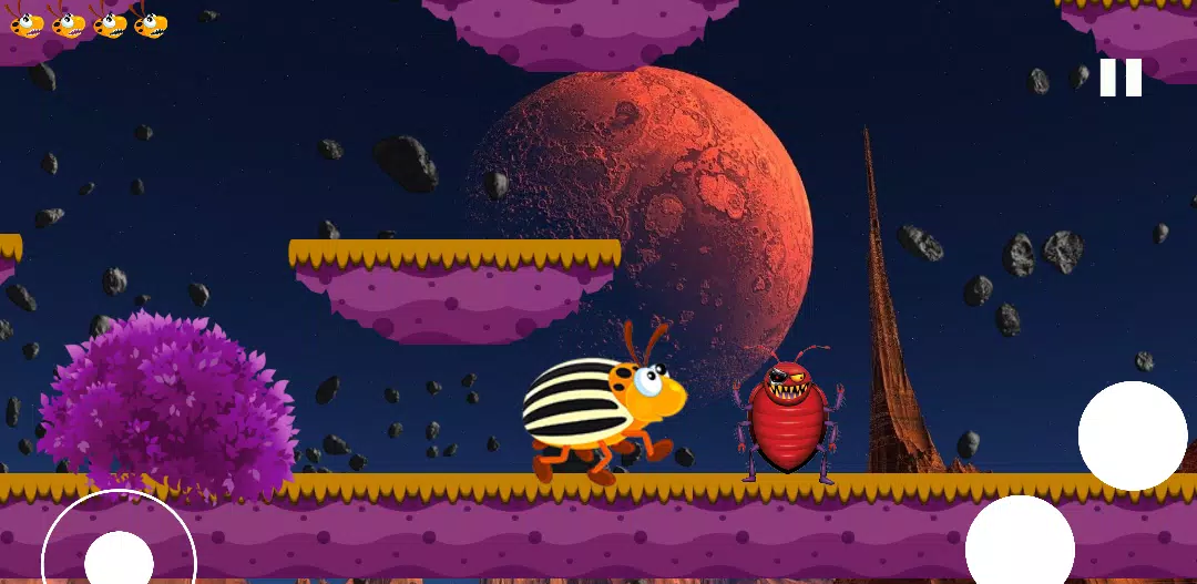 科罗拉多甲虫。昆虫冒险 科罗拉多甲虫。昆虫冒险