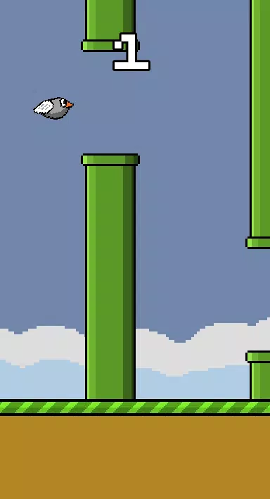 Fwappy Bird Fwappy Bird