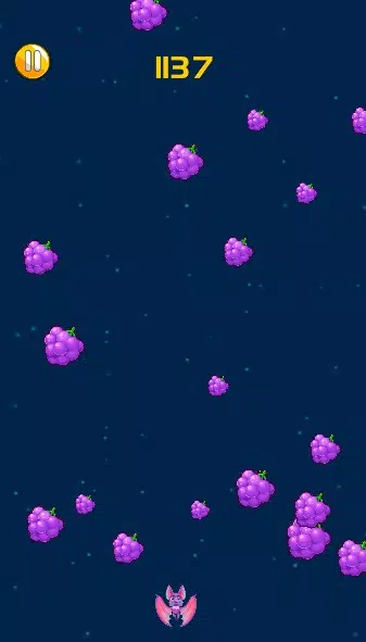 疯狂蝙蝠 疯狂蝙蝠