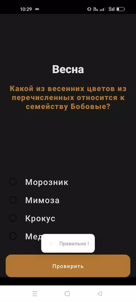 春季-维多利亚 春季-维多利亚