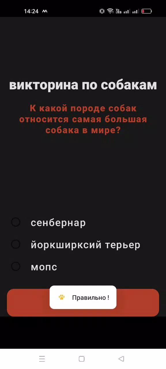 狗狗测验 狗狗测验