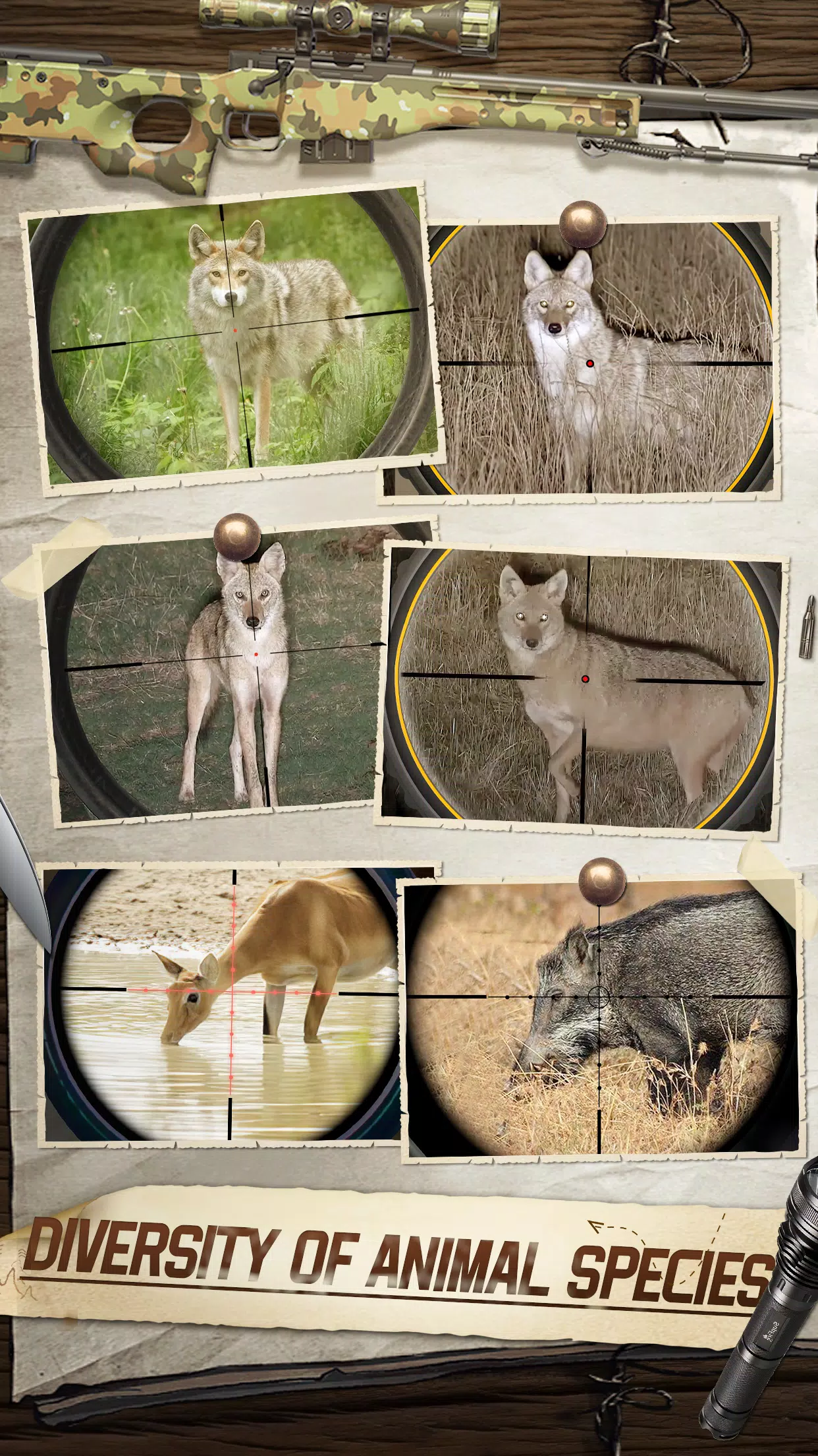 狩猎狙击手 狩猎狙击手