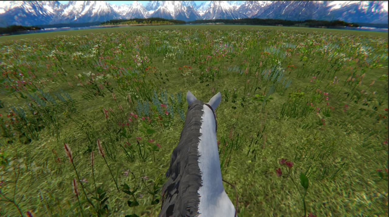 今天你骑马了吗