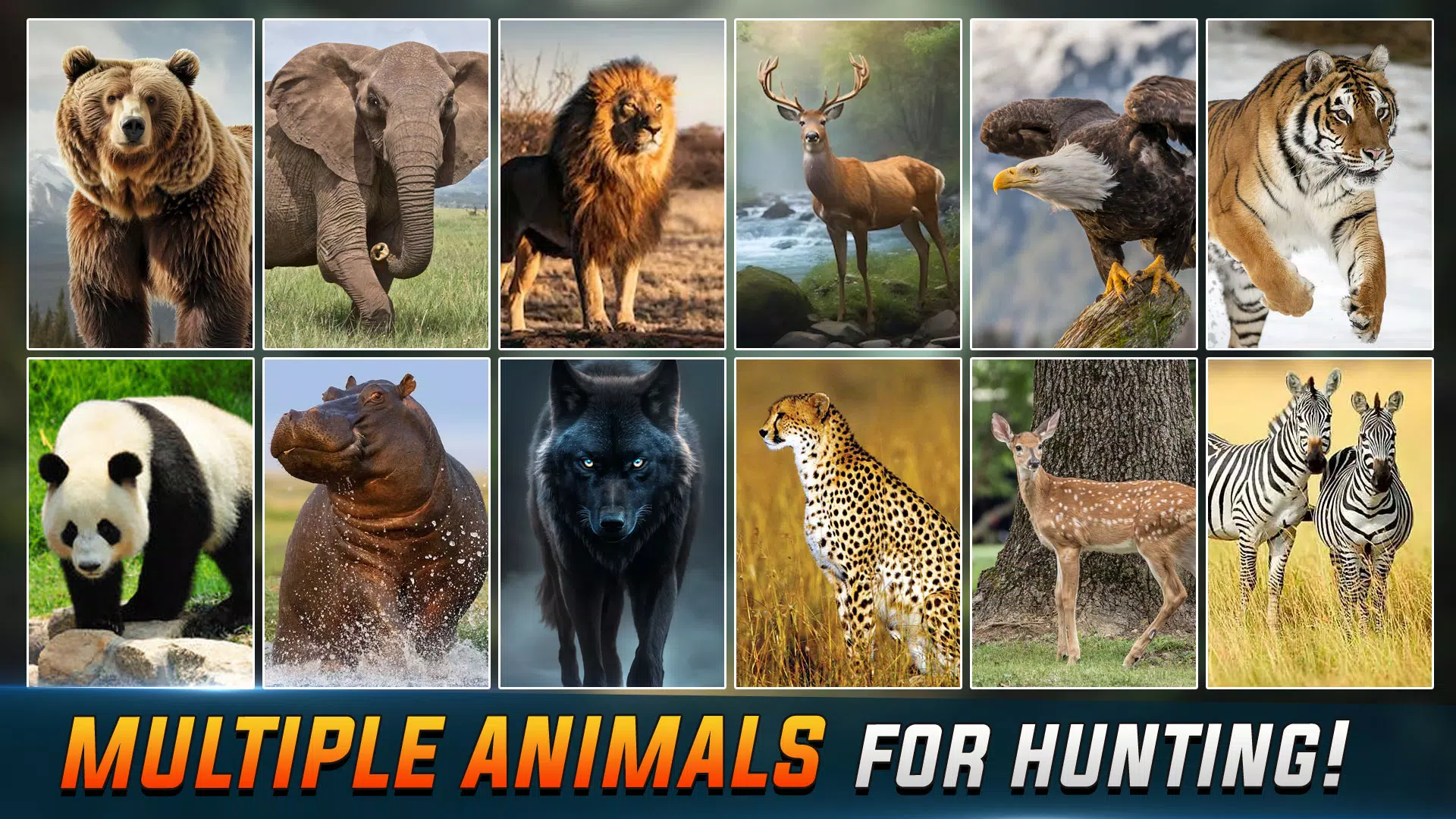 动物 打猎 离线 游戏