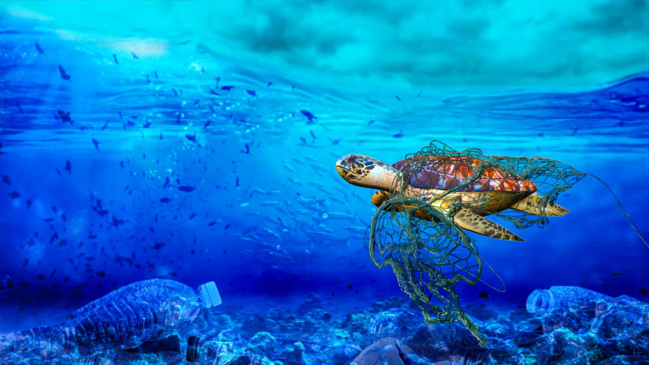 海洋清理3D 海洋清理3D