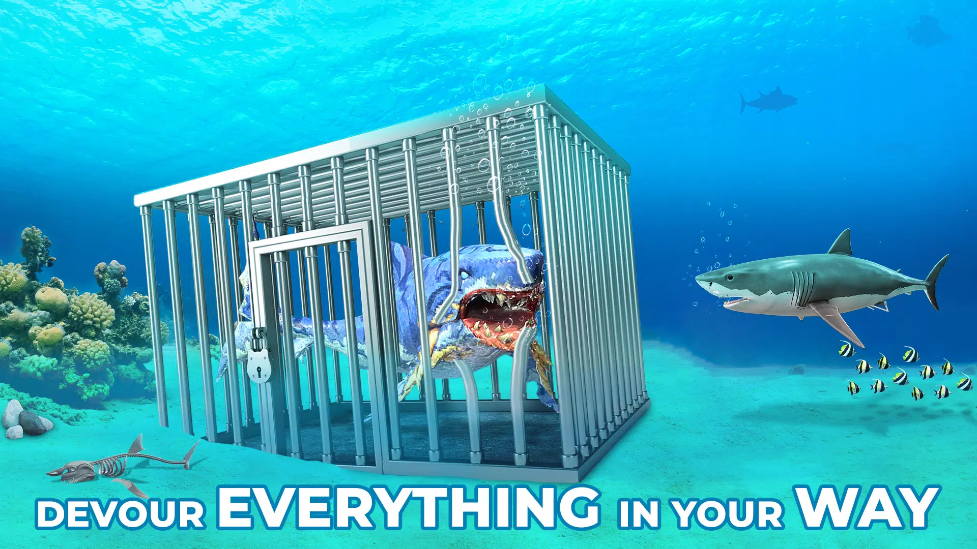 鲨鱼游戏: 饥饿的鲨鱼鱼游戏 - 鲨鱼进化生存 游戏 鲨鱼游戏: 饥饿的鲨鱼鱼游戏 - 鲨鱼进化生存 游戏