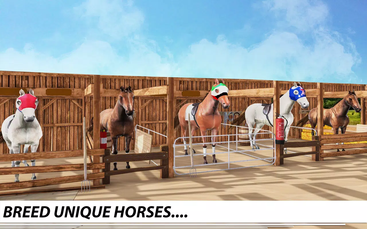 赛马游戏：赛马游戏