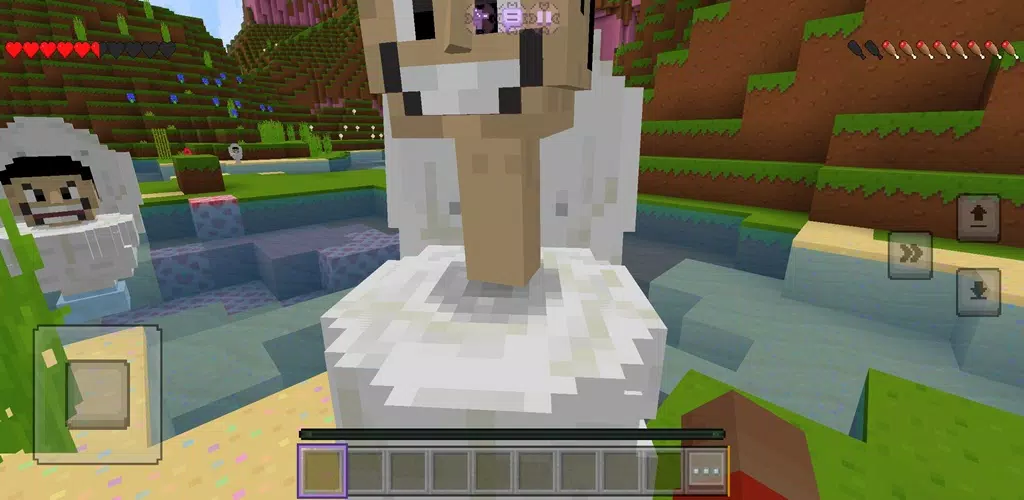 工匠调查厕所和工艺品 工匠调查厕所和工艺品