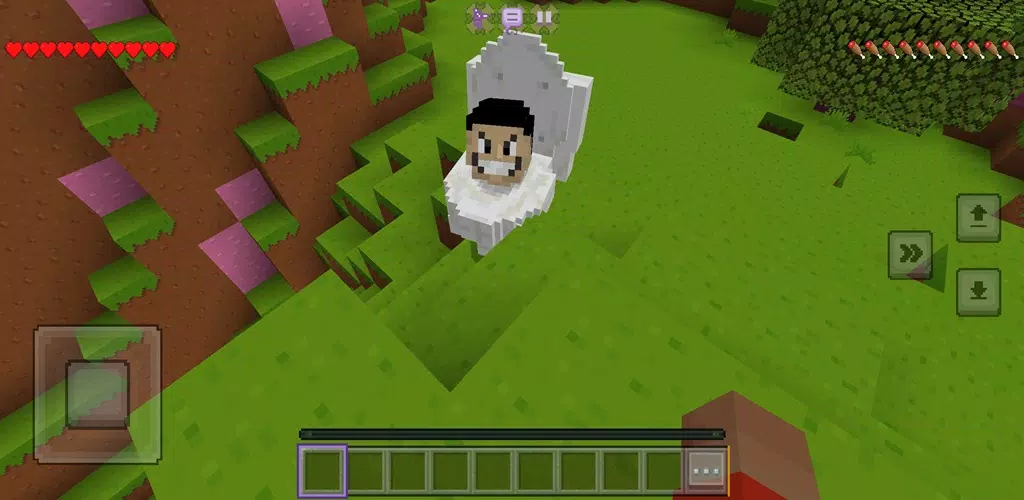 工匠调查厕所和工艺品 工匠调查厕所和工艺品