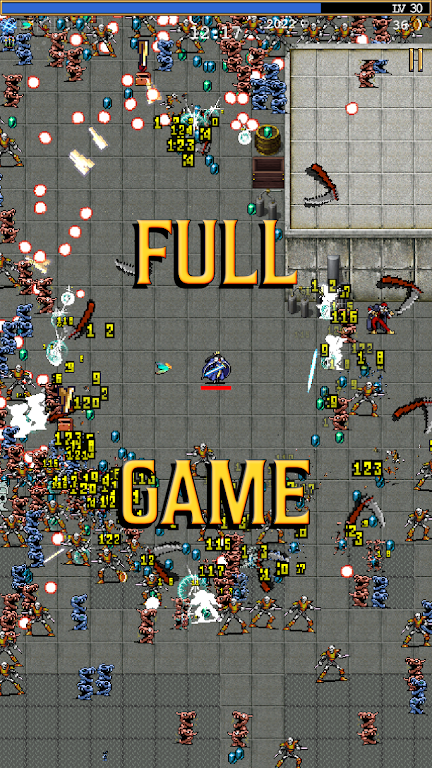 吸血鬼幸存者 吸血鬼幸存者