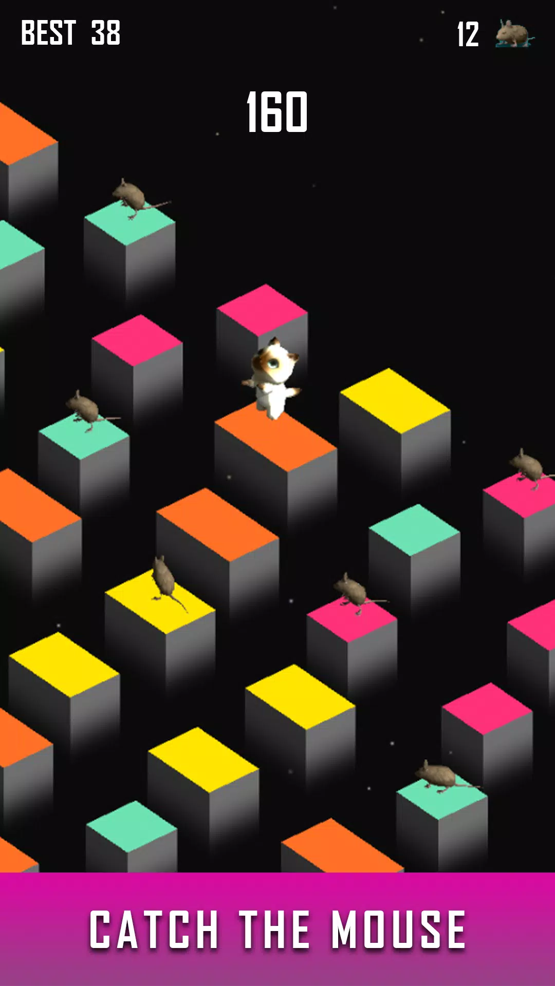 Zara猫-本月游戏